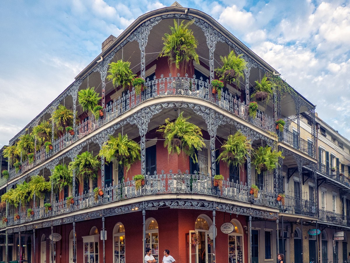 Letter Reforming Louisiana Social Studies Standards by David Randall NAS