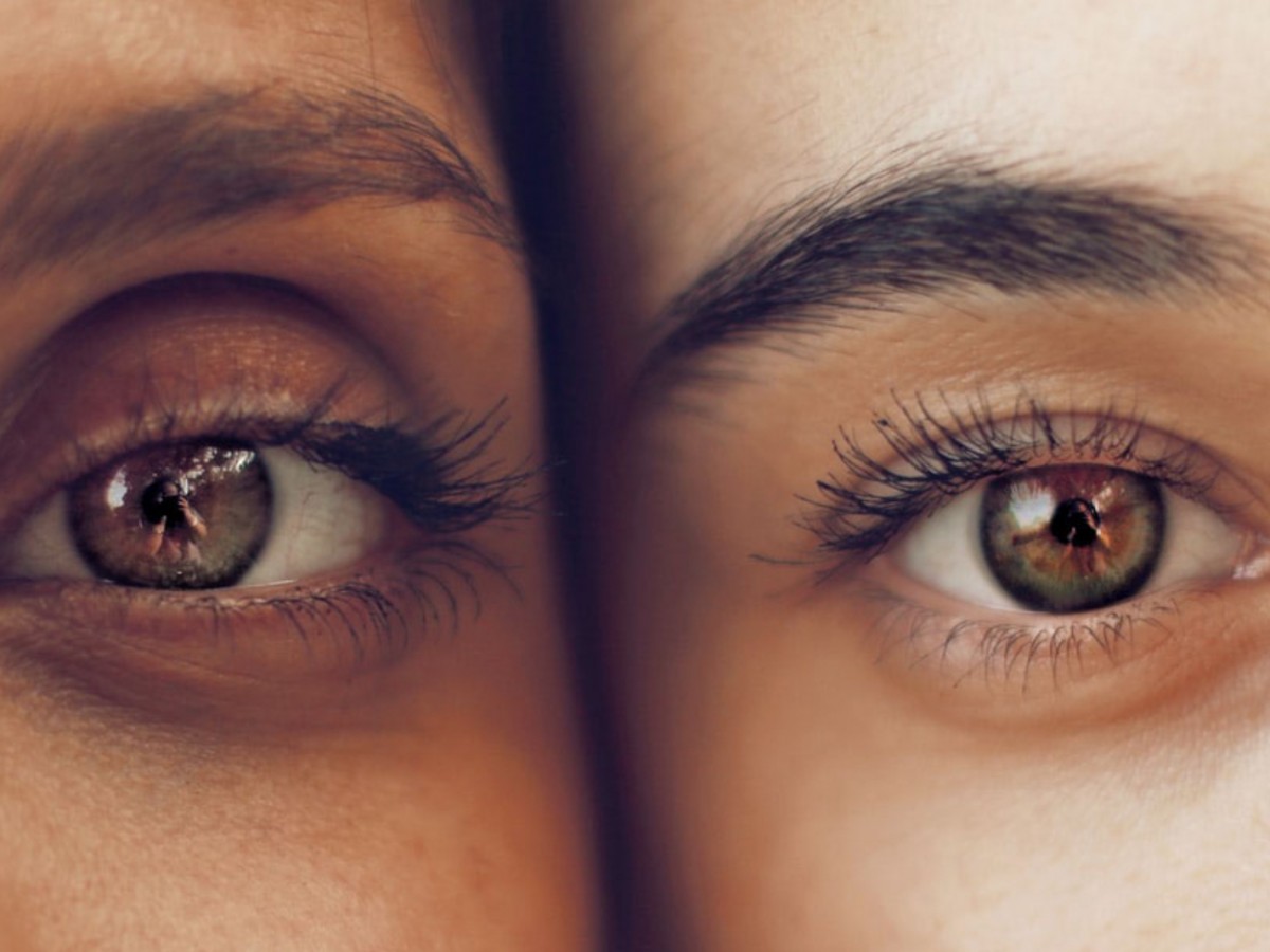 the-1619-project-believe-your-lying-eyes-by-seth-forman-nas